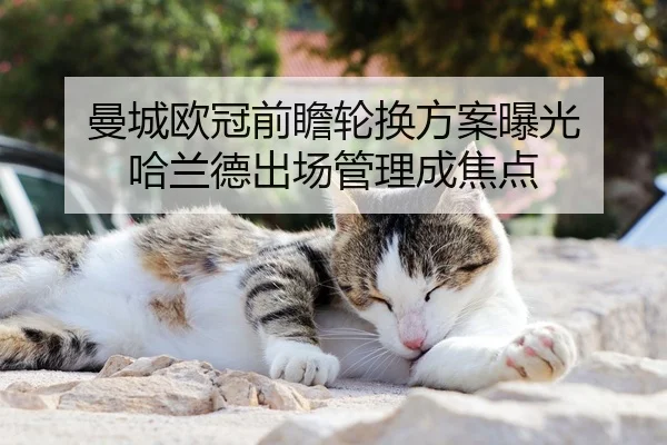曼城欧冠前瞻轮换方案曝光 哈兰德出场管理成焦点